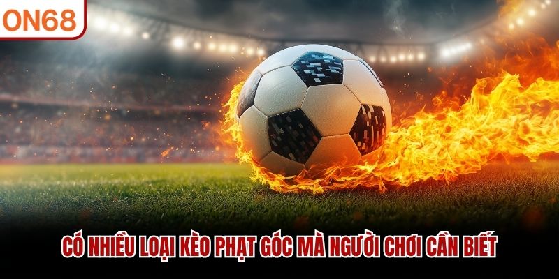 Có nhiều loại kèo phạt góc mà người chơi cần biết